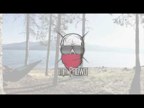Mr.PROWO - Nie oczekuj... (prod.PEREŁ)