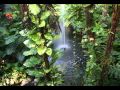 David Young- The Ancient Dialogues