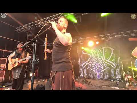 SeeD - Dwaallicht (Live at Eallum 2024)