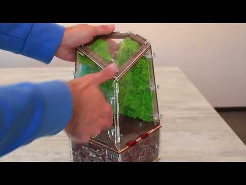 Overview of designer vertical ant farm "Flora" and "Flora Plus"
