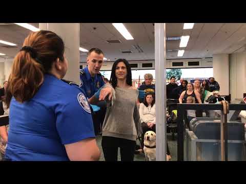 Airport security check; with guide dog Antonia!