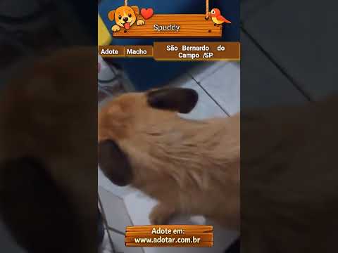 Vídeo de Spuddy
