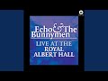 No Dark Things (Live at Royal Albert Hall, 1984)
