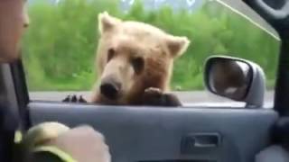 Scusa, hai qualcosa da mangiare?