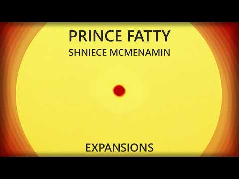 Prince Fatty feat. Shniece Mcmenamin - Expansions
