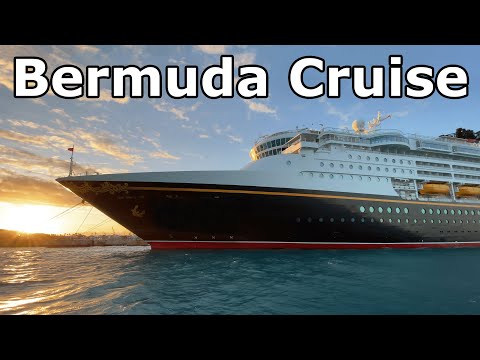 What is it Like to go on a Cruise?
