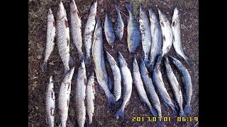 Все о рыбалке мурманск озеро