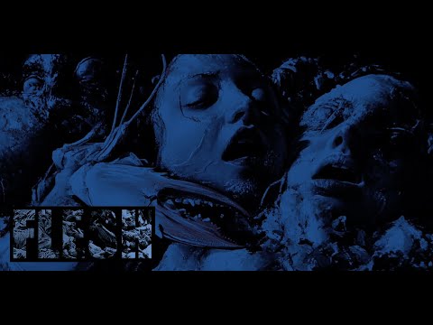 FLESH ▼ Surfing the tunnel train