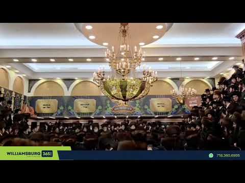 Krula Chasidim celebrated the wedding of the Rebbe's granchild that took place on the Krula Bhm"d.