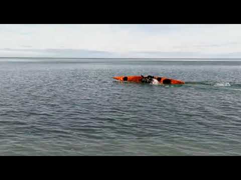 kayak Low Brace Turn