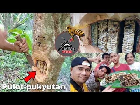 SE01 EP12- HONEY-COMB/HONEY-BEE HARVEST "Nasa loob ng puno" | Ang Tames!