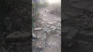 Download lagu #islamicvideo #viralvideo #duet #123 mp3 Download lagu #islamicvideo #viralvideo #duet #123 mp3