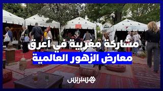 من المغرب إلى أثينا.. قصة أول مشاركة مغربية في أعرق معارض الزهور العالمية thumbnail