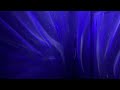 DJ Luke Nasty Might Be Slowed Reverb