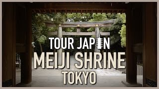 Amazing forest in the middle of Tokyo: Meiji Shrine (guide)
