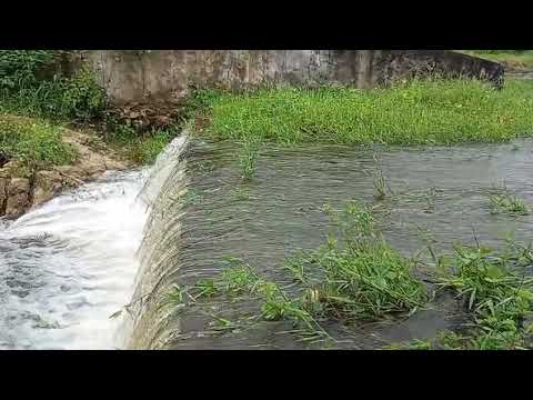 Sensacional Açude das varas sangrando em Várzea Alegre Ceará hoje 03/03/2026