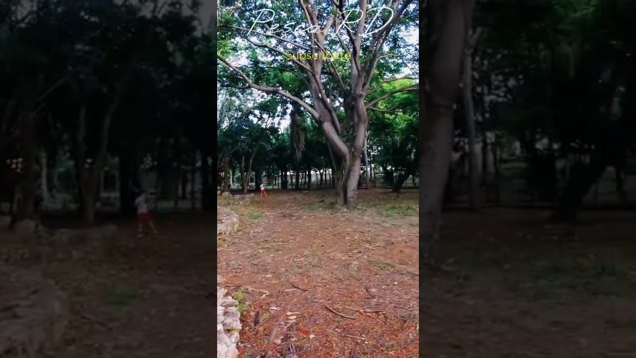 Tu Futuro Depende de lo que Hagas Hoy, No Mañana 🙂