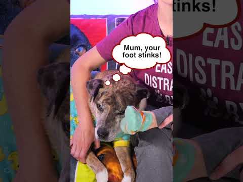 Hip Abduction in Sidelying Ask Doctor Jo