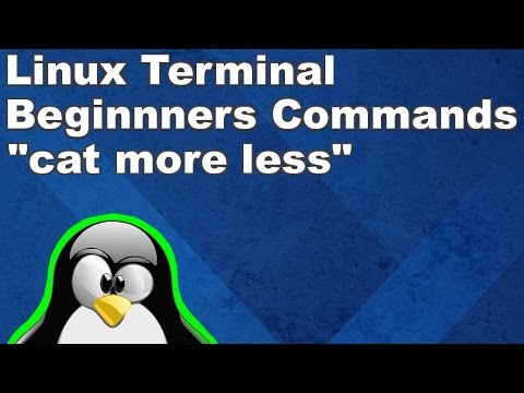 Linux Terminal for Beginners Commands 4: cat, more, and less
