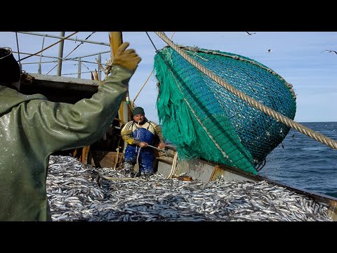 Life On Largest Midwater Trawl Vessel - Fishing trip on trawler the High Sea #02