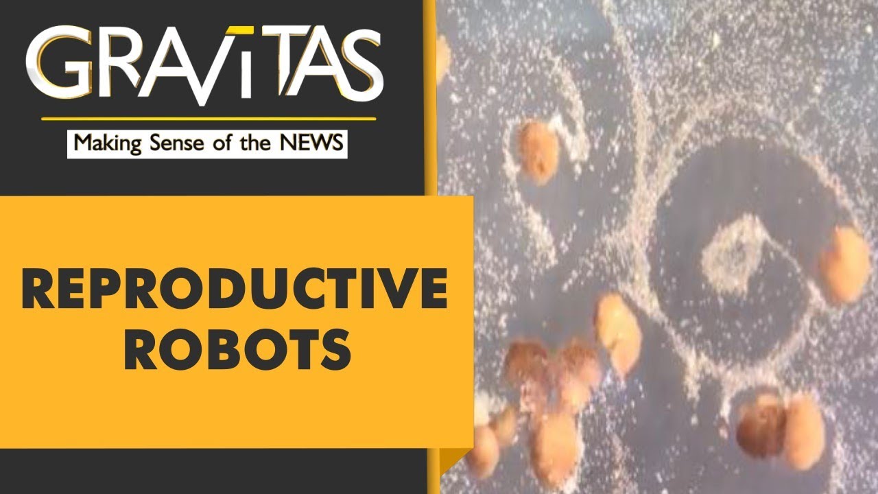 Gravitas: These robots can produce babies | 'Xenobots' capable of 'self-replicating'