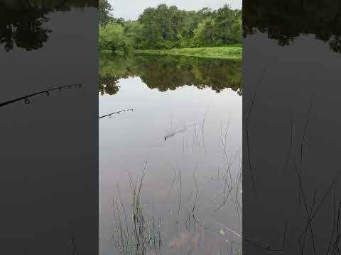 New whopper plopper lures!!!! #rap #music #beats #edit