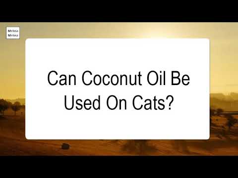 Can Coconut Oil Be Used On Cats