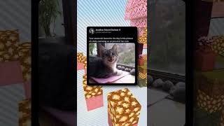 Download lagu This is an instant serotonin boost! mp3