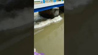 Hero tu Mera Hero hai ? #youtubeshorts #shortsvideo #short