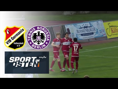 Germania Halberstadt lässt Schlusslicht Tennis Borussia Berlin aufschließen | Sport im Osten | MDR