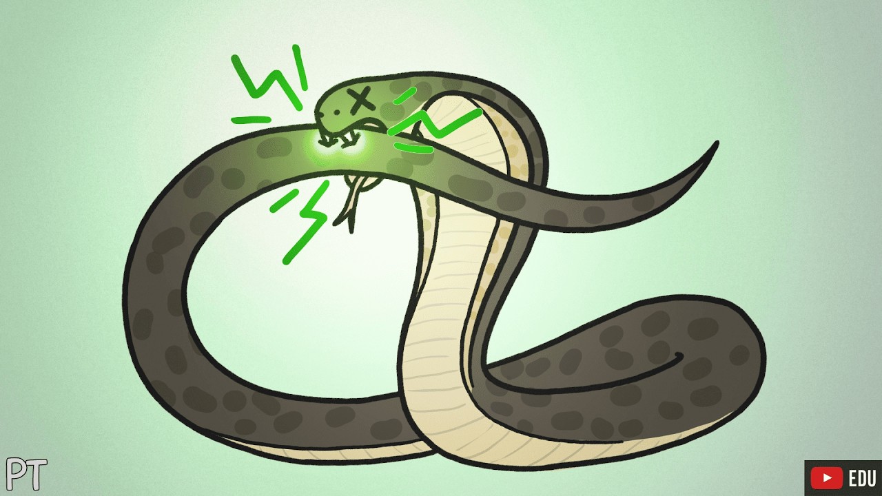 Como animais venenosos não se envenenam? | Minuto da Terra