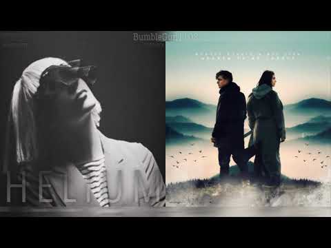 Sia, David Guetta & Afrojack / Martin Garrix ft. Dua Lipa - Helium x Scared To Be Lonely (MASHUP)