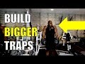 HOW TO BUILD BIGGER TRAP MUSCLES
