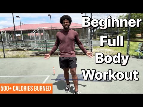 15 Minute Beginner Full Body Workout ( No Equipment )
