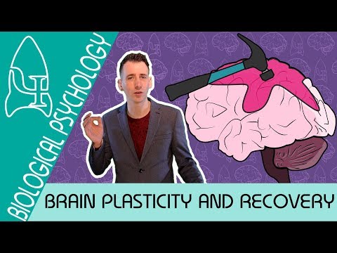 7 Plasticity and recovery