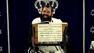 דף היומי עבודה זרה דף י"ז ע"א ¤ הרב נתנאל אברז'ל ¤ בית הכנסת "בית מרדכי" (הערוץ של מוסדות תורת דוד) - התמונה מוצגת ישירות מתוך אתר האינטרנט יוטיוב. זכויות היוצרים בתמונה שייכות ליוצרה. קישור קרדיט למקור התוכן נמצא בתוך דף הסרטון