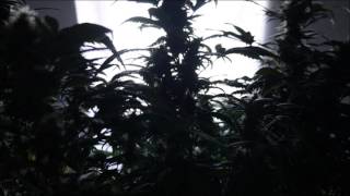 Im Remembrance - Deep House Progressive House MIX 07.2016