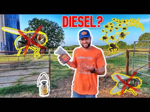 A FLY TRIED TO KILL MY BISON! So I used THIS to stop them...