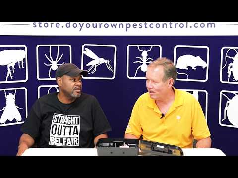 Soft vs Blox vs T Rex Traps