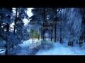 Sonata Arctica - Respect the Wilderness (With Lyrics)