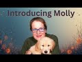 Introducing Molly Plus Channel Updates
