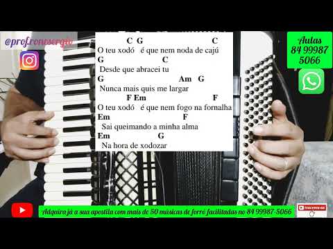 NODA DE CAJU - Cavalo de Pau