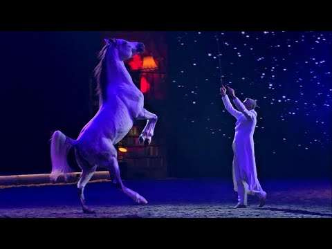 Cavalluna - Grand Moments Tour 23.02.2025 Stuttgart Alex Giona Pferdeshow reiten Teil 18 Freiarbeit