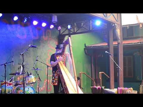 Animal Kingdom Harpist