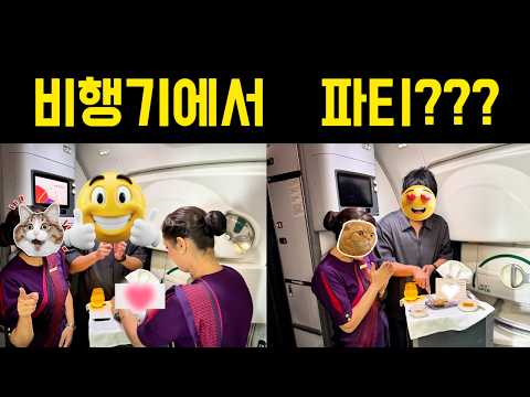 에어인디아 비즈니스 클래스 리뷰: 싱가포르에서 뉴델리까지 편안한 여행