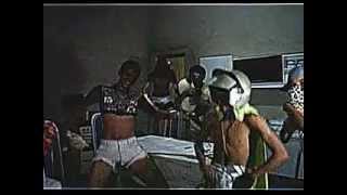 preview picture of video 'Harlem Shake de Santana do Ipanema'