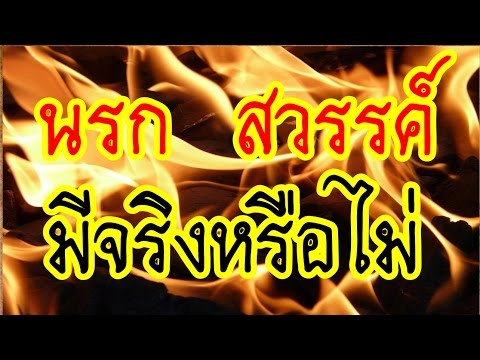 ความแรง 38 Yohimbe เพื่อเพิ่มความแข็งแรง