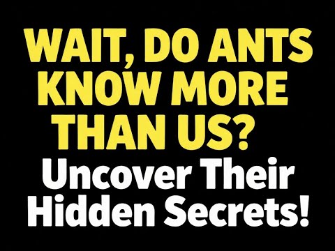 WAIT, DO ANTS KNOW MORE THAN US? 🐜 Uncover Their Hidden Secrets!
