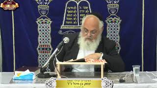 בית המדרש "תורת דוד" ¤ שידור חי ¤ כ"ז חשון תשפ"ו (18.11.2025) (מוסדות תורת דוד) - התמונה מוצגת ישירות מתוך אתר האינטרנט יוטיוב. זכויות היוצרים בתמונה שייכות ליוצרה. קישור קרדיט למקור התוכן נמצא בתוך דף הסרטון