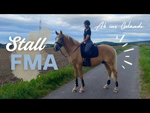 Make the most of the last days of summer! 🏇🏼☀️ | Stall FMA